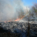 brush fire april 16 2008 011